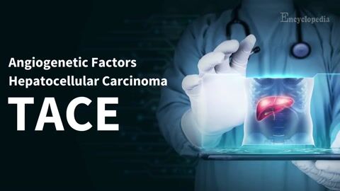 Encyclopedia-Angiogenetic Factors in Hepatocellular Carcinoma During Transarterial Chemoembolization