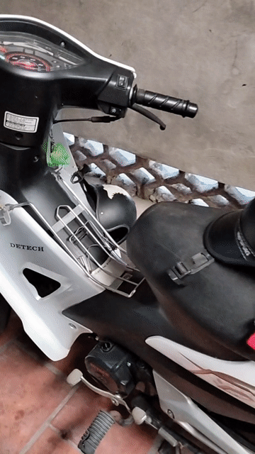 Detech Espero Trắng 100cc. Mua bán Xe máy tại Quận Long Biên Hà Nội được đăng bởi Hai - Harry Nguyen hình 1