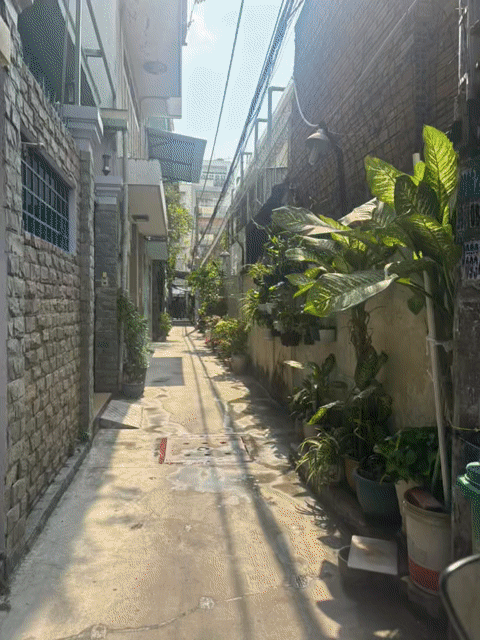 Mua bán Nhà ở Quận 10 Tp Hồ Chí Minh diện tích 15 m² giá 2,9 tỷ