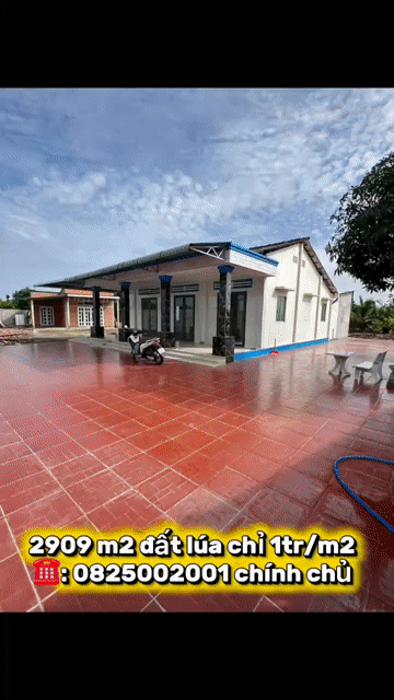 Mua bán Đất Huyện Châu Thành Long An diện tích 2909 m² giá 2,9 tỷ