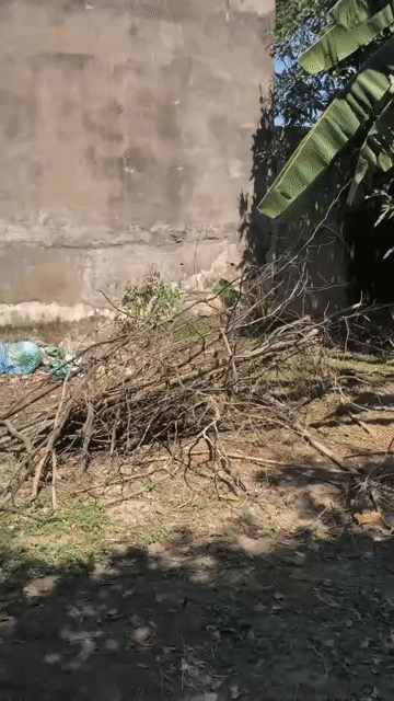 Cho thuê Đất Huyện Đức Hòa Long An diện tích 2300 m² giá 5 triệu/tháng