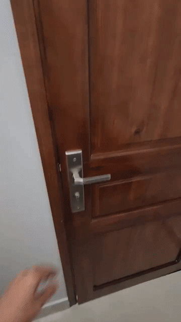 Cho thuê Căn hộ Chung cư Huyện Nhà Bè Tp Hồ Chí Minh diện tích 35 m² giá 5,7 triệu/tháng