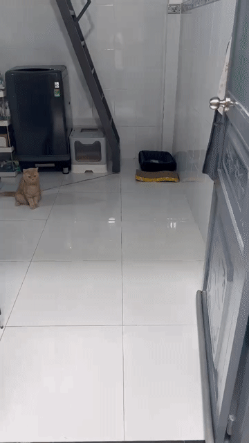 Cho thuê Phòng trọ Thành phố Thủ Đức Tp Hồ Chí Minh diện tích 25 m² giá 3,7 triệu/tháng