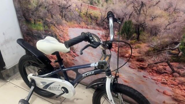 Xe trẻ em XMZ 16 inch,,,98%. Mua bán Xe đạp tại Quận Tân Bình Tp Hồ Chí Minh được đăng bởi Bbb hình 1