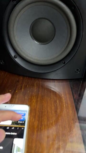 Loa Bose 301 Series 5. Mua bán Tivi, Âm thanh tại Quận Bình Tân Tp Hồ Chí Minh được đăng bởi Thành Chung Audio hình 1