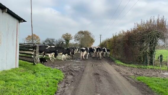 S'ouvrir à l'agriculture