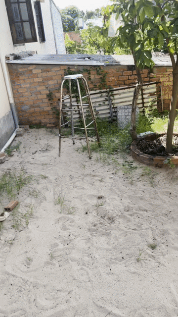 Mua bán Đất Huyện Đất Đỏ Bà Rịa - Vũng Tàu diện tích 170 m² giá 5,45 tỷ