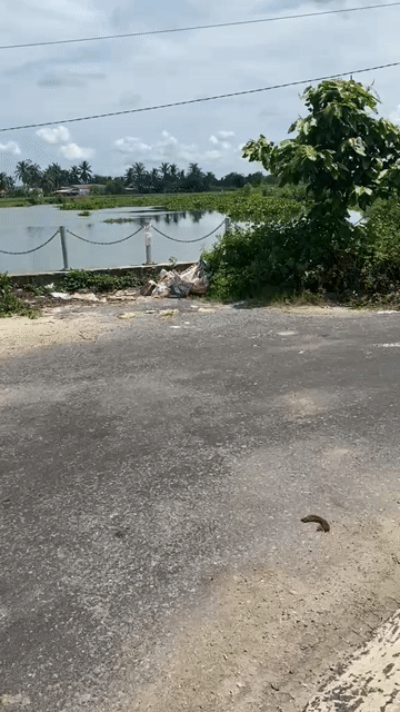 Mua bán Đất Huyện Gò Công Tây Tiền Giang diện tích 82 m² giá 600 triệu
