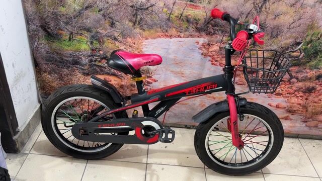 Xe đạp trẻ em TSHUAI 16 inch. Mua bán Xe đạp tại Quận Tân Bình Tp Hồ Chí Minh được đăng bởi Bbb hình 1