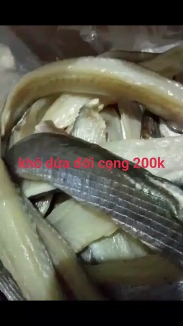 Cá khô Cá dứa cọng 4kg 3 nắng. Mua bán Đồ ăn, thực phẩm và các loại khác tại Quận 12 Tp Hồ Chí Minh được đăng bởi hạnh chuyên cung cấp sỉ lẻ khô cá dứa đù sặc chả cua hình 1