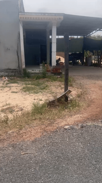 Mua bán Đất Chơn Thành Golden Land Huyện Chơn Thành Bình Phước diện tích 258.5 m² giá 295 triệu