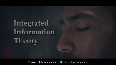 Integrated Information Theory 4.0’s Realist Idealism