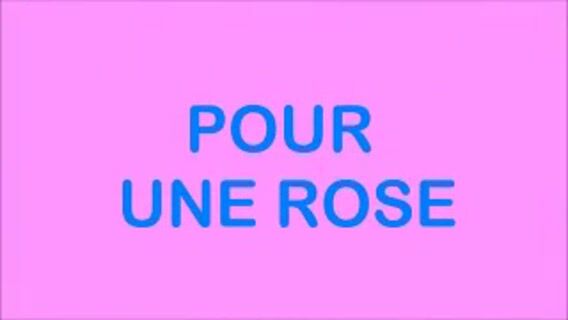 Un bleu pour une rose