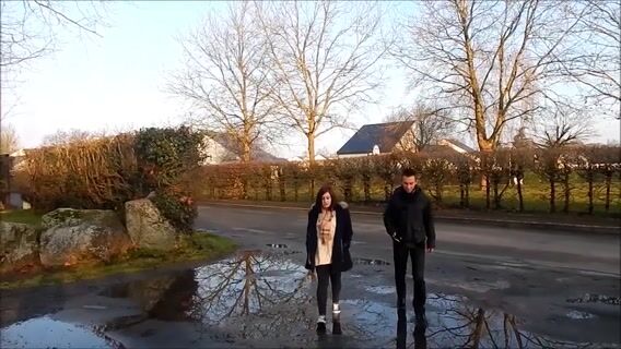 Du soigneur à l'animal