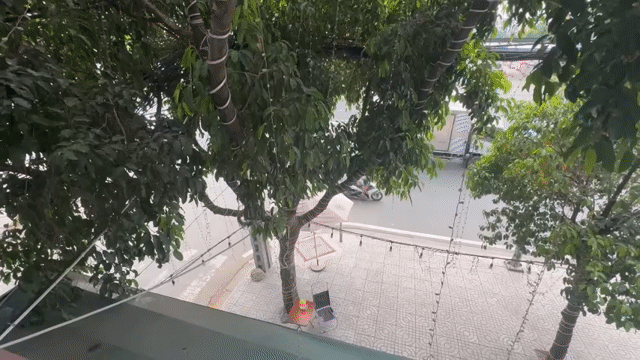 Cho thuê Văn phòng, Mặt bằng kinh doanh Quận Bình Tân Tp Hồ Chí Minh diện tích 504 m² giá 180 triệu/tháng