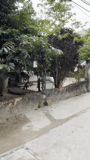 Mua bán Đất Quận Sơn Trà Đà Nẵng diện tích 68 m² giá 4,7 tỷ