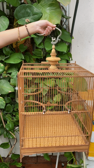 Lồng chim Tre Nâu hoạ tiết đẹp. Mua bán Phụ kiện, Thức ăn, Dịch vụ tại Quận Thanh Xuân Hà Nội được đăng bởi Nguyễn thị tâm hình 1