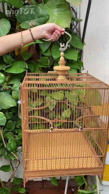 Lồng chim Tre Nâu hoạ tiết đẹp. Mua bán Phụ kiện, Thức ăn, Dịch vụ tại Quận Thanh Xuân Hà Nội được đăng bởi Nguyễn thị tâm hình 1