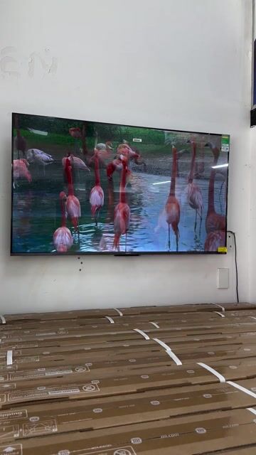 Tivi- Smart TV Xiaomi QLED 55 inch 4K giá shock. Mua bán Tivi, Âm thanh tại Quận Thanh Khê Đà Nẵng được đăng bởi Thảo hình 1