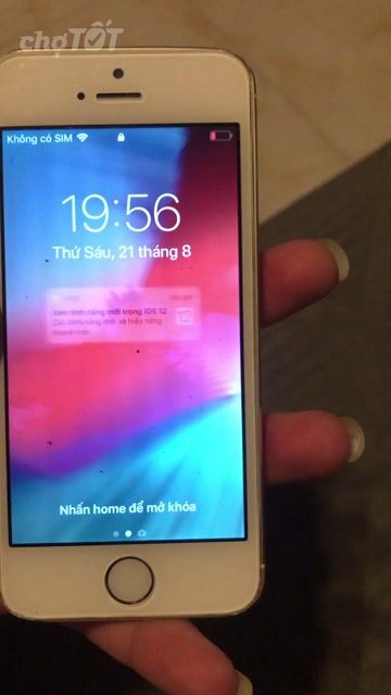 Apple iPhone 5s 16GB Vàng mvt. Mua bán Điện thoại tại Thành phố Thủ Dầu Một Bình Dương được đăng bởi Bảo Nguyễn hình 1