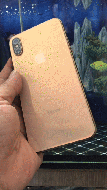 Apple iPhone Xs 64GB Vàng. Mua bán Điện thoại tại Quận 10 Tp Hồ Chí Minh được đăng bởi Thịnh hình 1