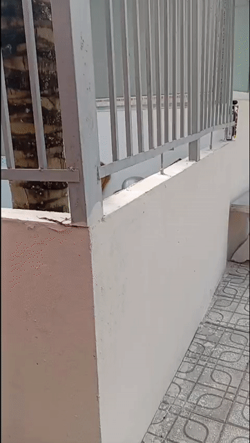 Cho thuê Văn phòng, Mặt bằng kinh doanh Huyện Nhà Bè Tp Hồ Chí Minh diện tích 50 m² giá 5 triệu/tháng