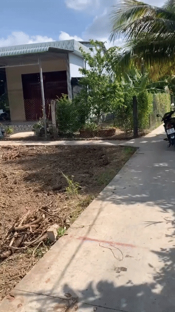 Mua bán Đất Huyện Châu Thành Tiền Giang diện tích 221.5 m² giá 420 triệu