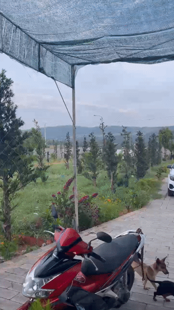 Mua bán Đất Thành phố Phan Thiết Bình Thuận diện tích 2000 m² giá 4,5 tỷ
