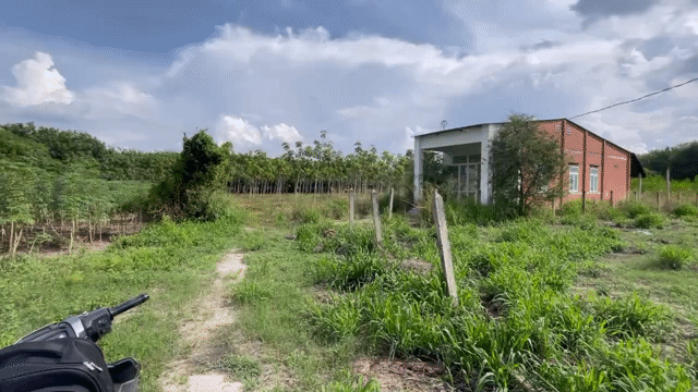 Mua bán Đất Huyện Dương Minh Châu Tây Ninh diện tích 376 m² giá 720 triệu