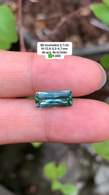 SD tourmaline 2,7 cts Kt 12,4-5,5-4,7 mm đá quý. Mua bán Đồ sưu tầm, đồ cổ tại Quận 1 Tp Hồ Chí Minh được đăng bởi Rio Natural Gemstone Jewelry hình 1