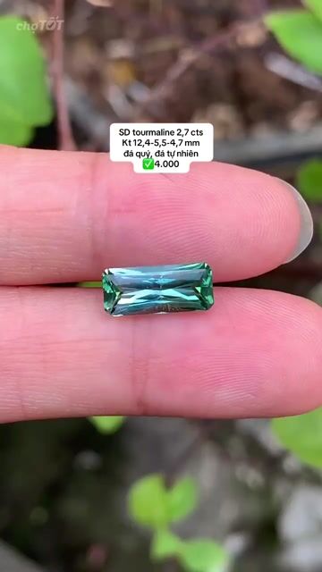 SD tourmaline 2,7 cts Kt 12,4-5,5-4,7 mm đá quý. Mua bán Đồ sưu tầm, đồ cổ tại Quận 1 Tp Hồ Chí Minh được đăng bởi Rio Natural Gemstone Jewelry hình 1