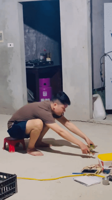 Chim cảnh Lông mượt, khỏe mạnh. Mua bán Chim tại Huyện Chương Mỹ Hà Nội được đăng bởi menuoipet29 hình 1