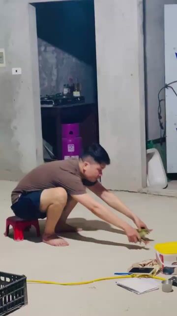 Chim cảnh Lông mượt, khỏe mạnh. Mua bán Chim tại Huyện Chương Mỹ Hà Nội được đăng bởi menuoipet29 hình 1