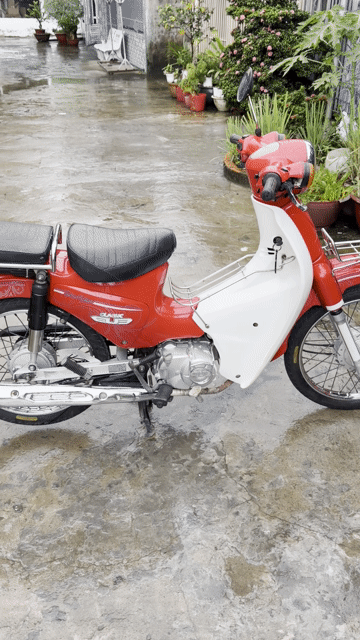 Cúp clsasit máy zjn 2016 biển 65 50cc ko bằng lái. Mua bán Xe máy tại Quận Cái Răng Cần Thơ được đăng bởi Cầm Đồ Minh Tấn hình 1