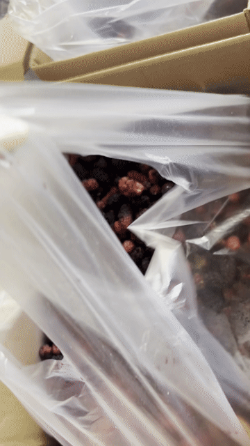 Dâu tằm tươi Đỏ, Đen. Mua bán Đồ ăn, thực phẩm và các loại khác tại Quận Tân Phú Tp Hồ Chí Minh được đăng bởi An Ho hình 1