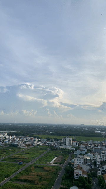 Cho thuê Căn hộ Chung cư Celesta Rise Huyện Nhà Bè Tp Hồ Chí Minh diện tích 49 m² giá 12 triệu/tháng