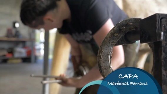 Formation Maréchal Ferrant