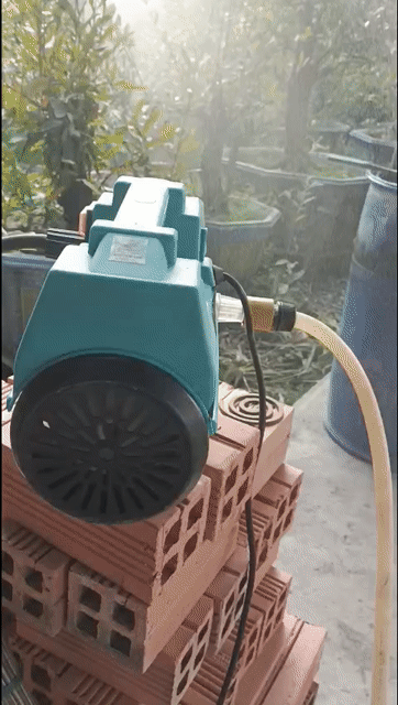 Máy rửa xe Honda Xanh ngọc. Mua bán Đồ chuyên dụng, Giống nuôi trồng tại Huyện Hòa Thành Tây Ninh được đăng bởi Lê Hoàng Hiếu hình 1