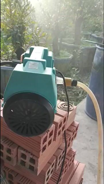 Máy rửa xe Honda Xanh ngọc. Mua bán Đồ chuyên dụng, Giống nuôi trồng tại Huyện Hòa Thành Tây Ninh được đăng bởi Lê Hoàng Hiếu hình 1