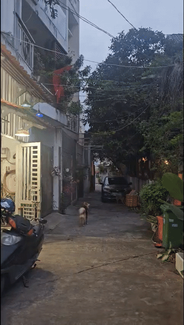 Mua bán Nhà ở Thành phố Thủ Đức Tp Hồ Chí Minh diện tích 80 m² giá 6,2 tỷ