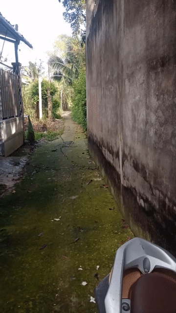 Mua bán Đất Thành phố Mỹ Tho Tiền Giang diện tích 405 m² giá 650 triệu