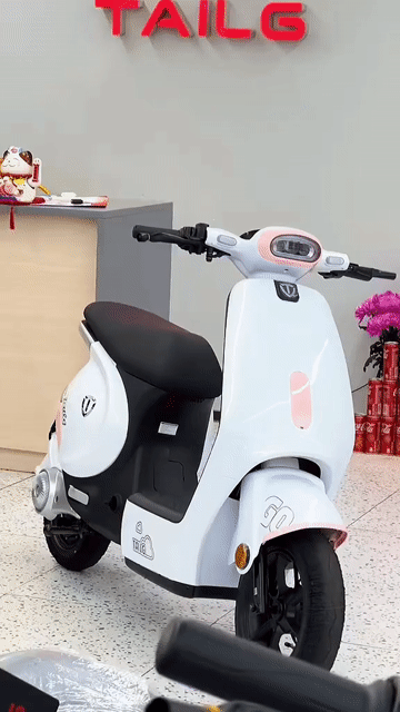 Xe đạp điện Tailg GR56 Trắng. Mua bán Xe đạp tại Thành phố Biên Hòa Đồng Nai được đăng bởi Khôi Điện Máy hình 1