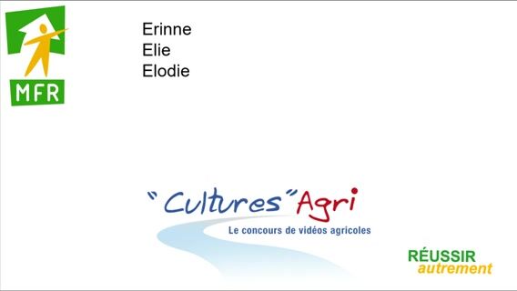 Elever et valoriser les chevaux d’élevag