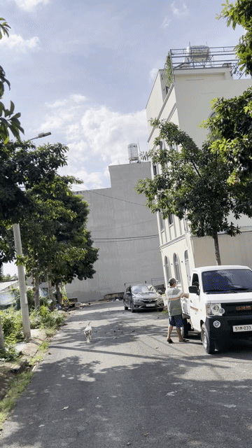 Mua bán Đất Thành phố Thủ Đức Tp Hồ Chí Minh diện tích 52 m² giá 2,8 tỷ