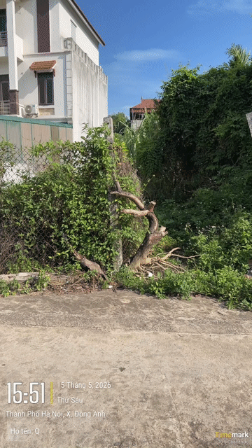 Mua bán Đất Huyện Đông Anh Hà Nội diện tích 130 m² giá 13 tỷ