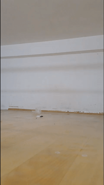 Cho thuê Phòng trọ Quận 8 Tp Hồ Chí Minh diện tích 16 m² giá 2,7 triệu/tháng