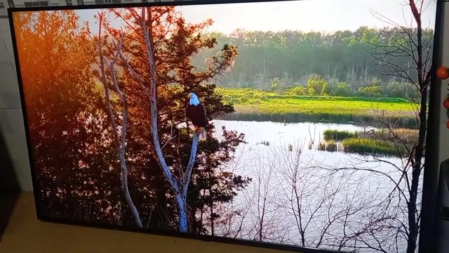 Tivi LG 55 inch đã sử dụng. Mua bán Tivi, Âm thanh tại Thành phố Thủ Đức Tp Hồ Chí Minh được đăng bởi Caominhphuoc hình 1