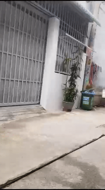 Cho thuê Nhà ở Huyện Hóc Môn Tp Hồ Chí Minh diện tích 56 m² giá 7 triệu/tháng