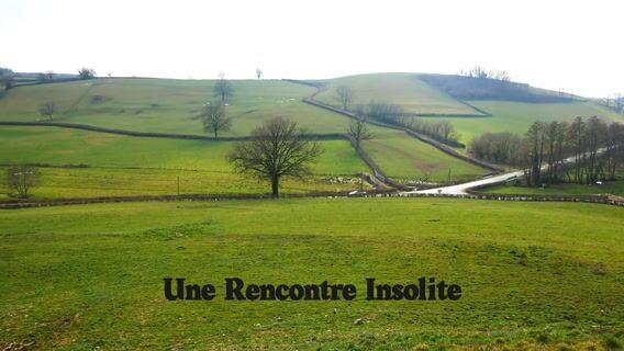 Une rencontre insolite