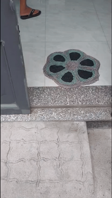 Cho thuê Phòng trọ Huyện Củ Chi Tp Hồ Chí Minh diện tích 48 m² giá 2,3 triệu/tháng